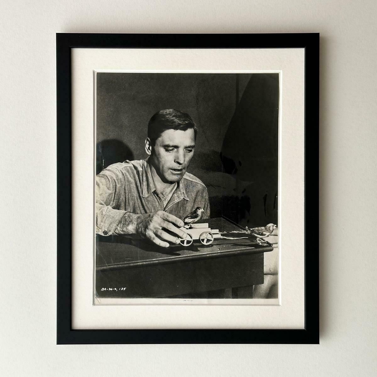 Birdman Of Alcatraz  Publicity Film Still 1962 Burt Lancaster    Framed photo furniture