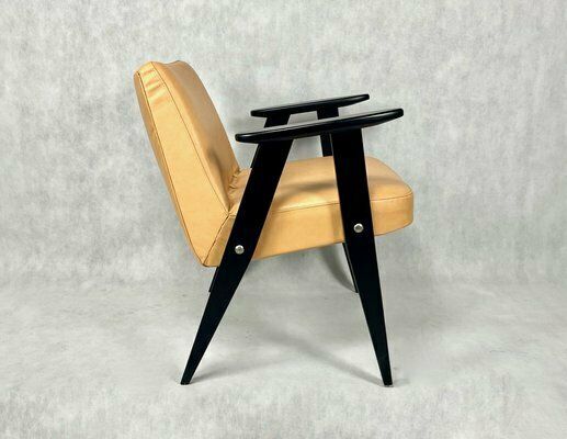 Mid Century Polish 366 Armchair By Jozef Chierowski, 1960s photo Furniture
