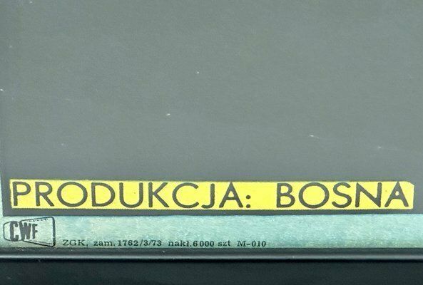 Polish Movie Poster In Frame By Andrzej Krajewski, 1973 photo Art