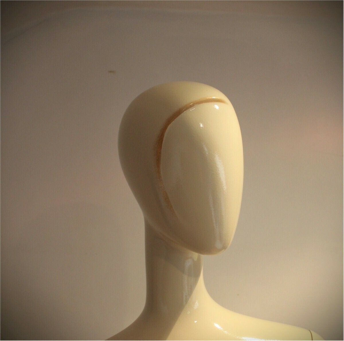 Female Shop Mannequin photo furniture