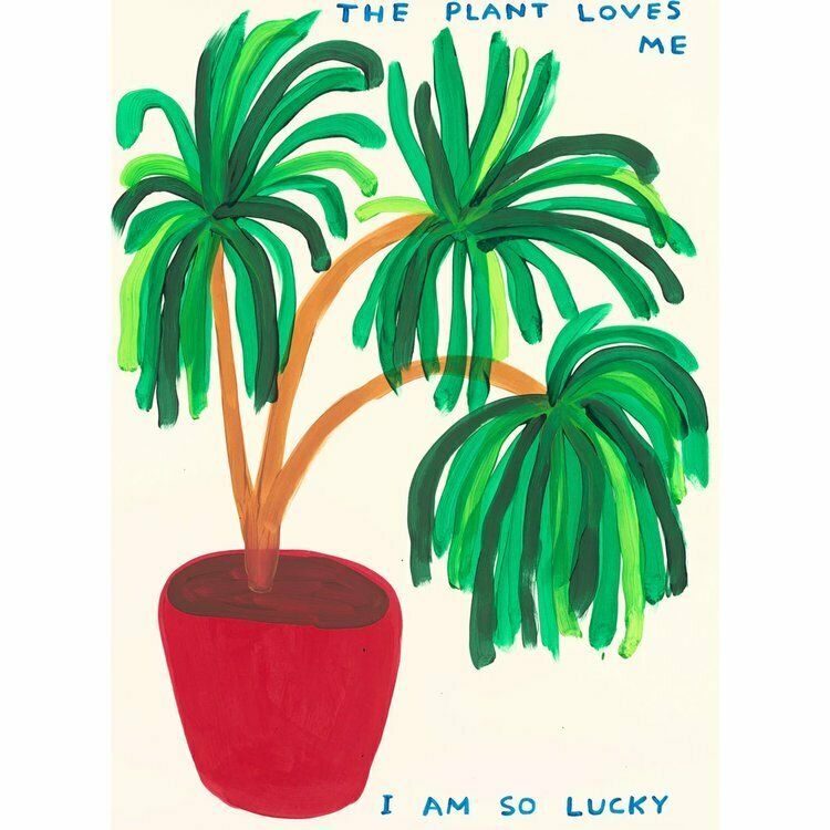 David Shrigley, 'The Plant Loves Me', 2023