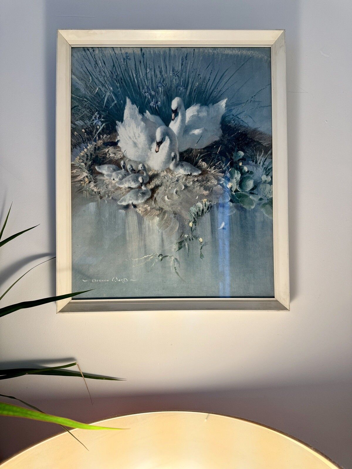 Mid Century Vernon Ward Framed & Glazed Print Swans & Cygnets “Early Days” photo vinterior