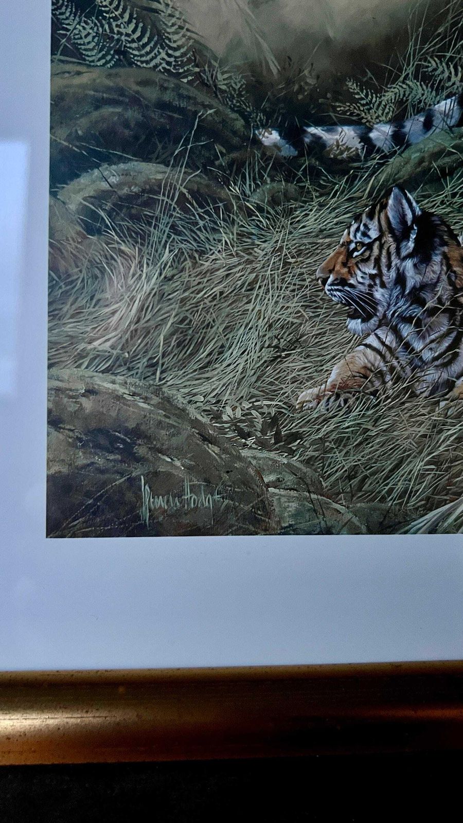 A Set Of Two Framed Vintage Pictures Depicting Tigers photo 122.0