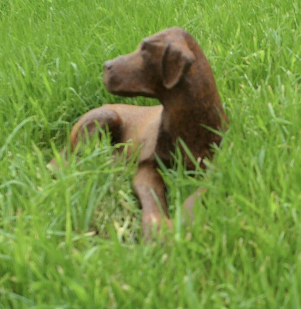 A Cute Labrador Puppy, Door Stop photo furniture