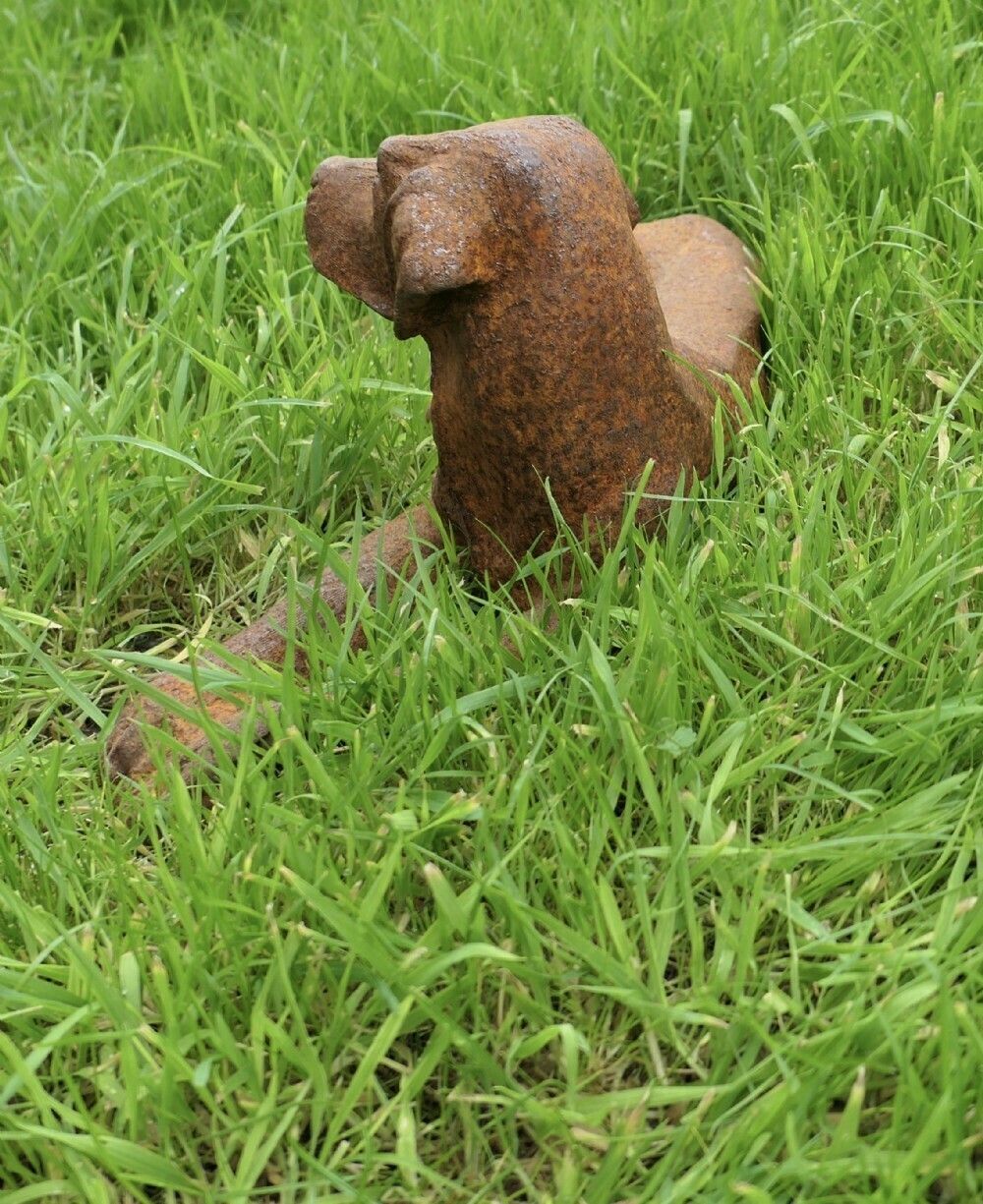 A Cute Labrador Puppy, Door Stop photo 420.0