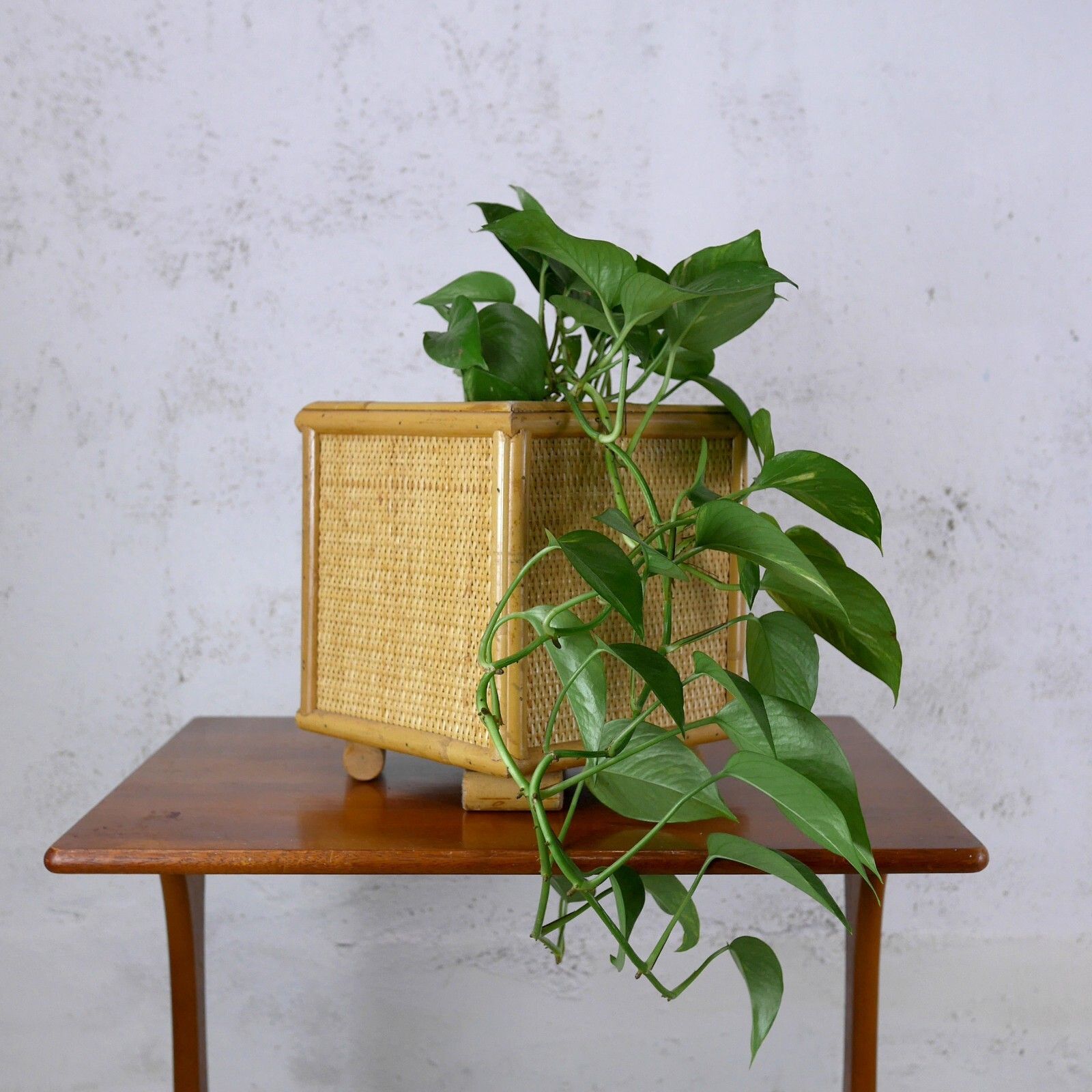 Large Vintage Mid Century Bamboo Cane & Rattan Planter Plant Pot #102714 photo Home Decor