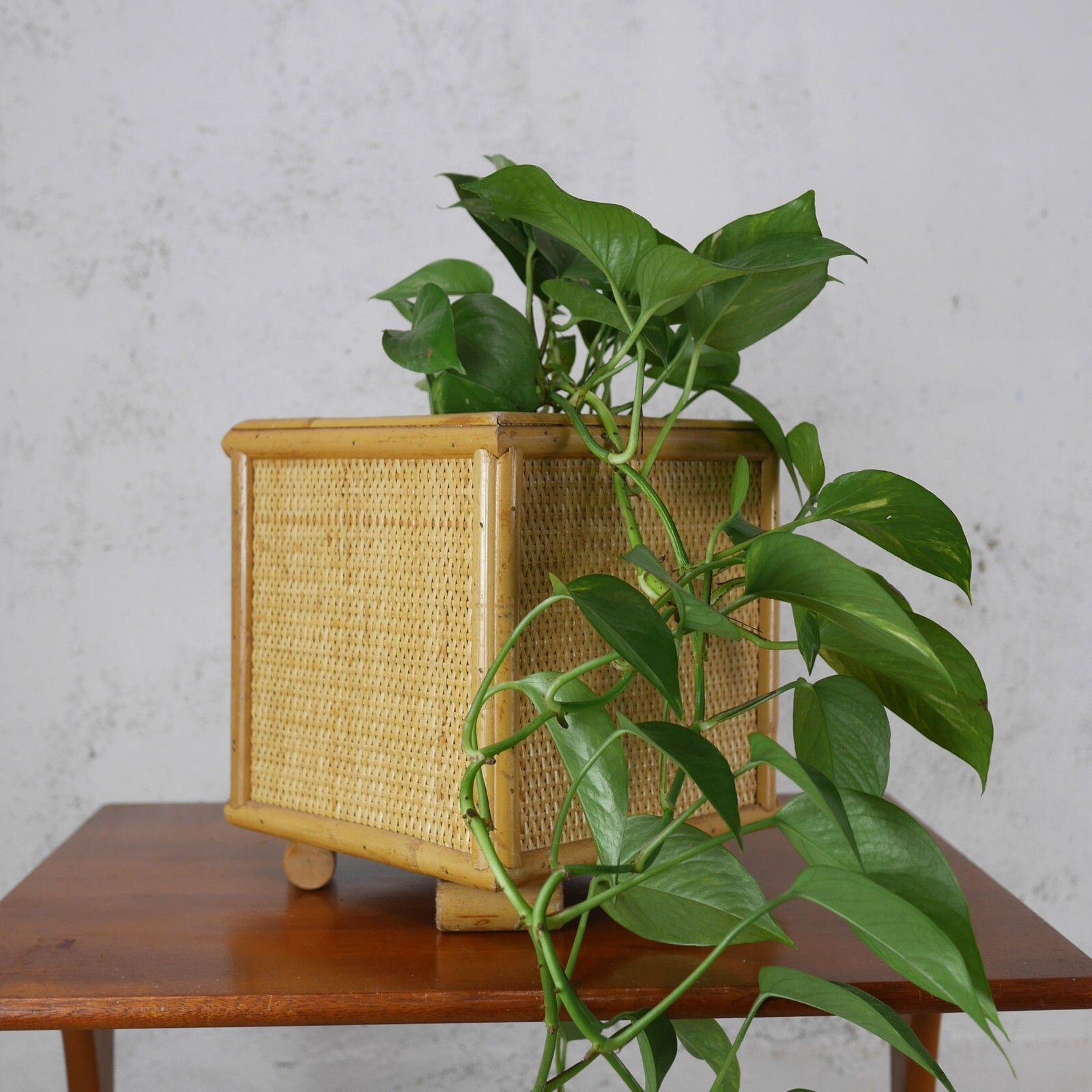 Large Vintage Mid Century Bamboo Cane & Rattan Planter Plant Pot #102714 photo 75.0