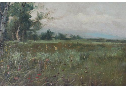 Spanish Landscape With Farmhouse And Wildflower Meadow photo 476.0