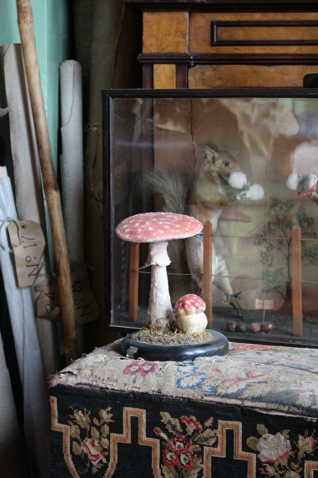 Early 20th Century Death Cap & Fly Agaric Model Fungi Natural History photo for sale