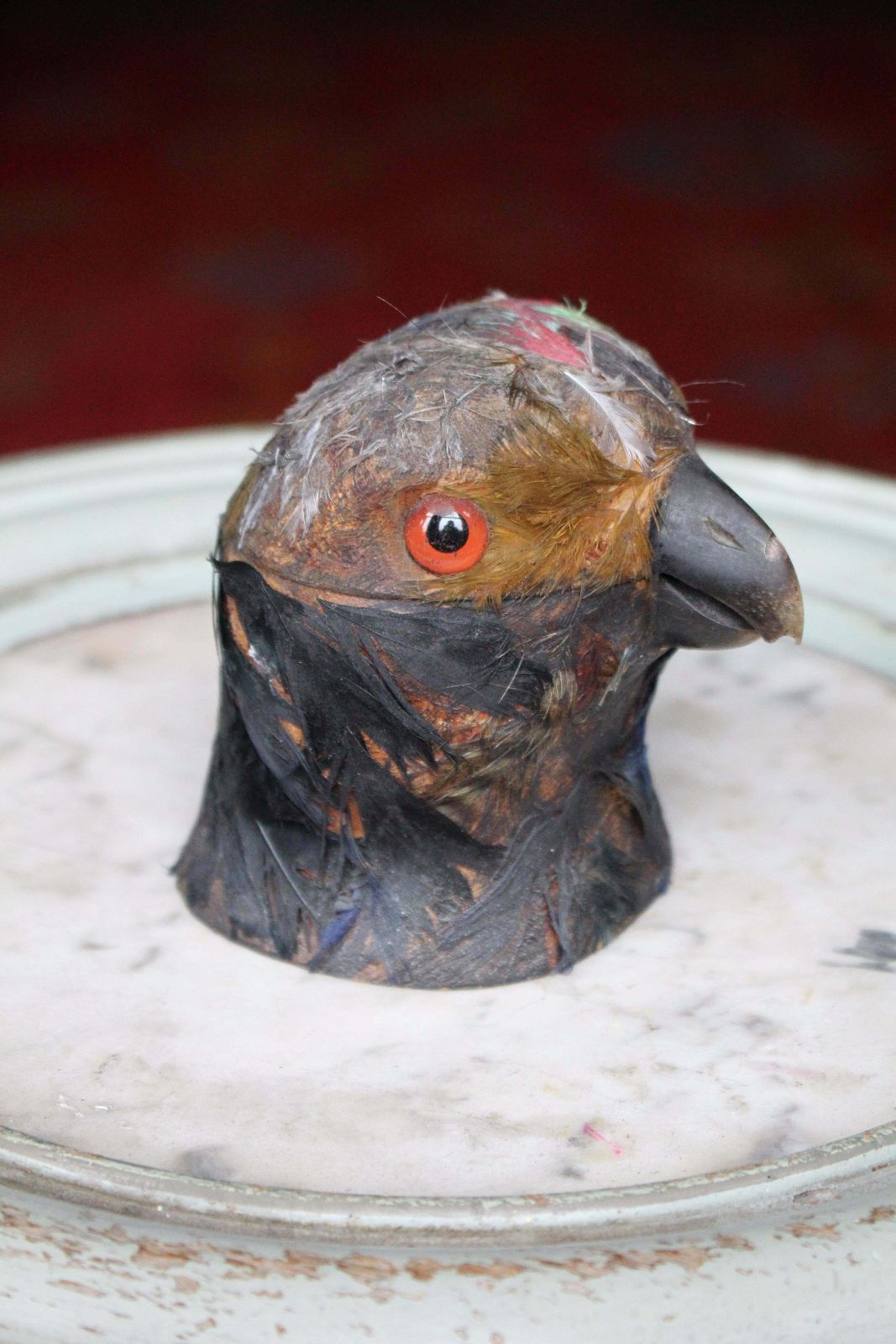 Early 20th Century Parrot Ink Well, Glass Eyes, Hand Dyed Feathers photo furniture