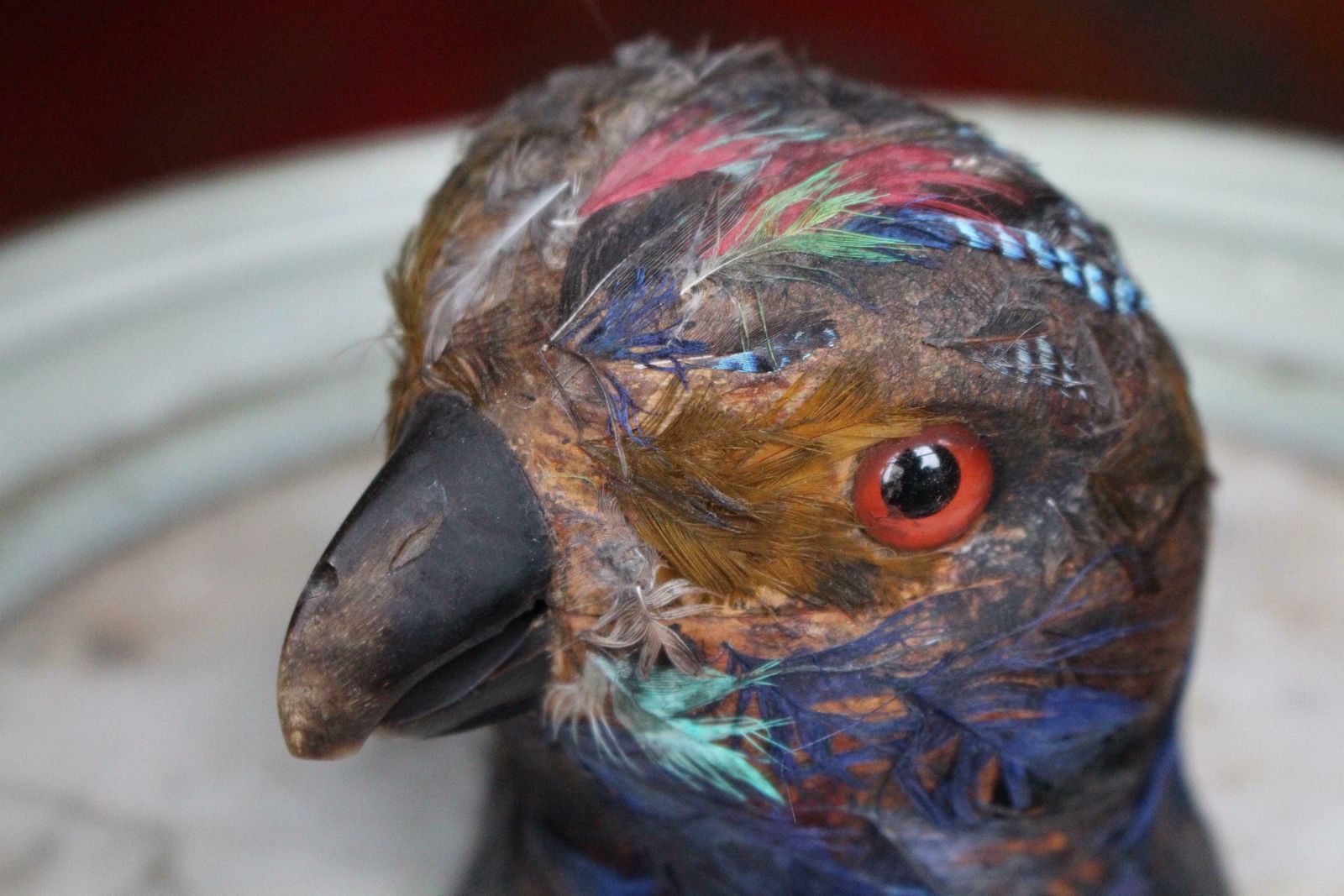 Early 20th Century Parrot Ink Well, Glass Eyes, Hand Dyed Feathers photo 608.0