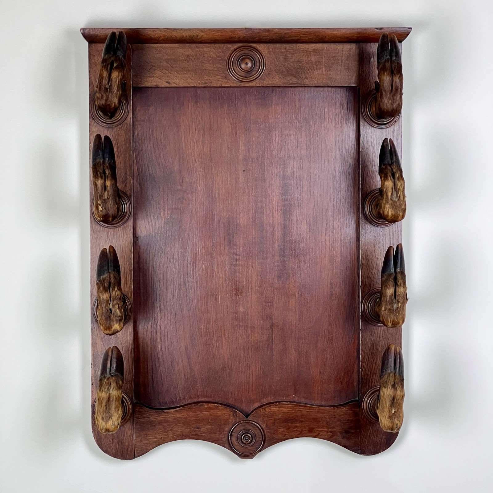 Antique Continental Oak Taxidermy Gun Or Coat Rack photo Furniture
