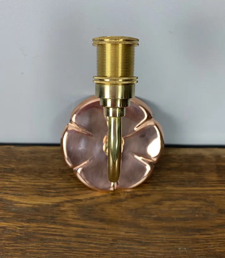 Ashby Copper Lily Pad Wall Light – Single Arm (43088) photo for sale