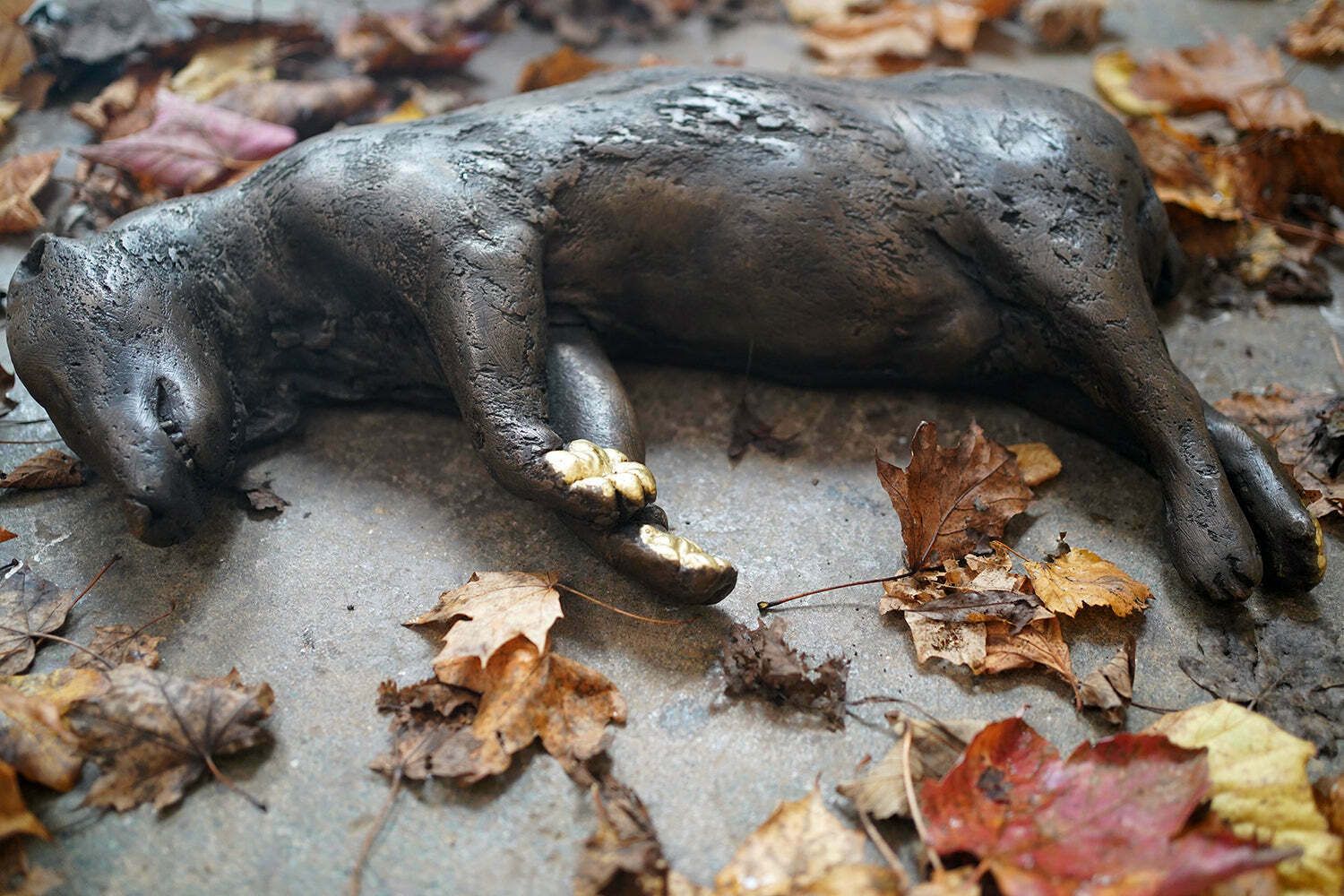 photo vinterior Beth Carter; Badger; Bronze Resin; 3/15