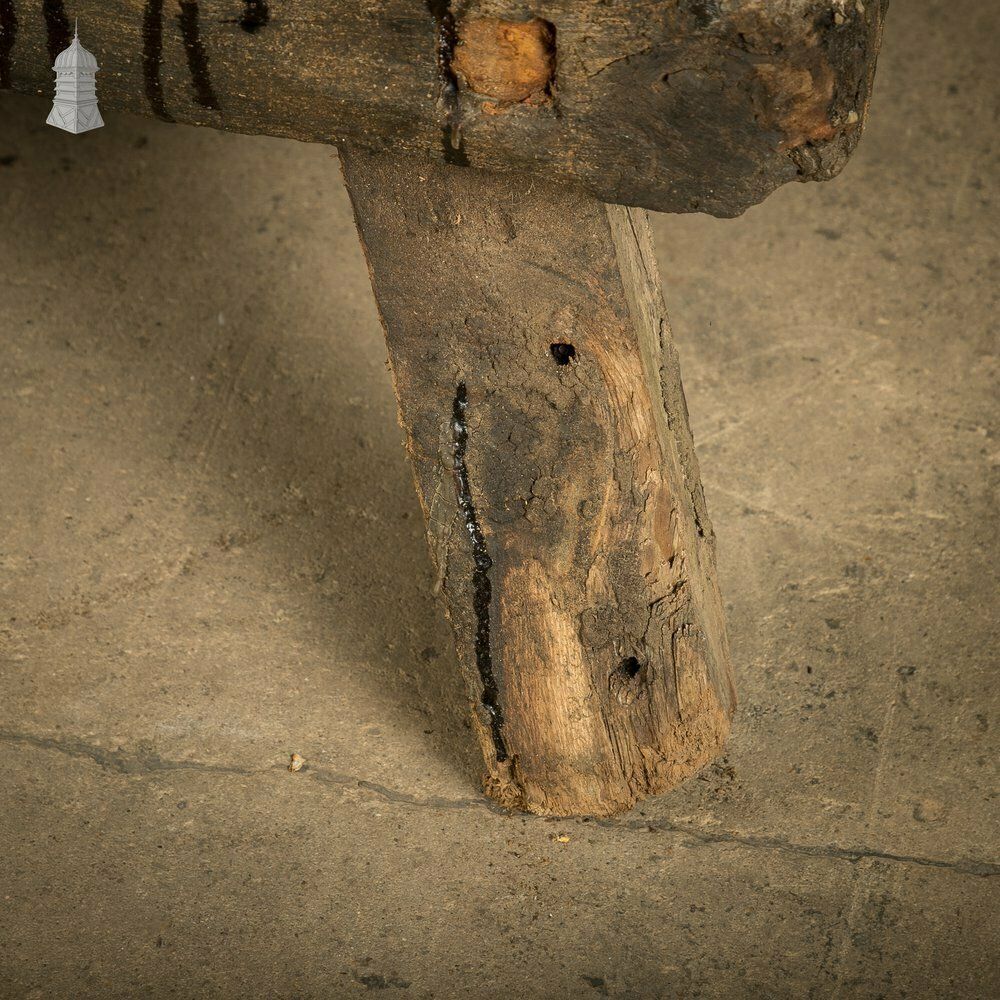 870.0 Pig Bench, 18th C, 18th Century And Earlier photo