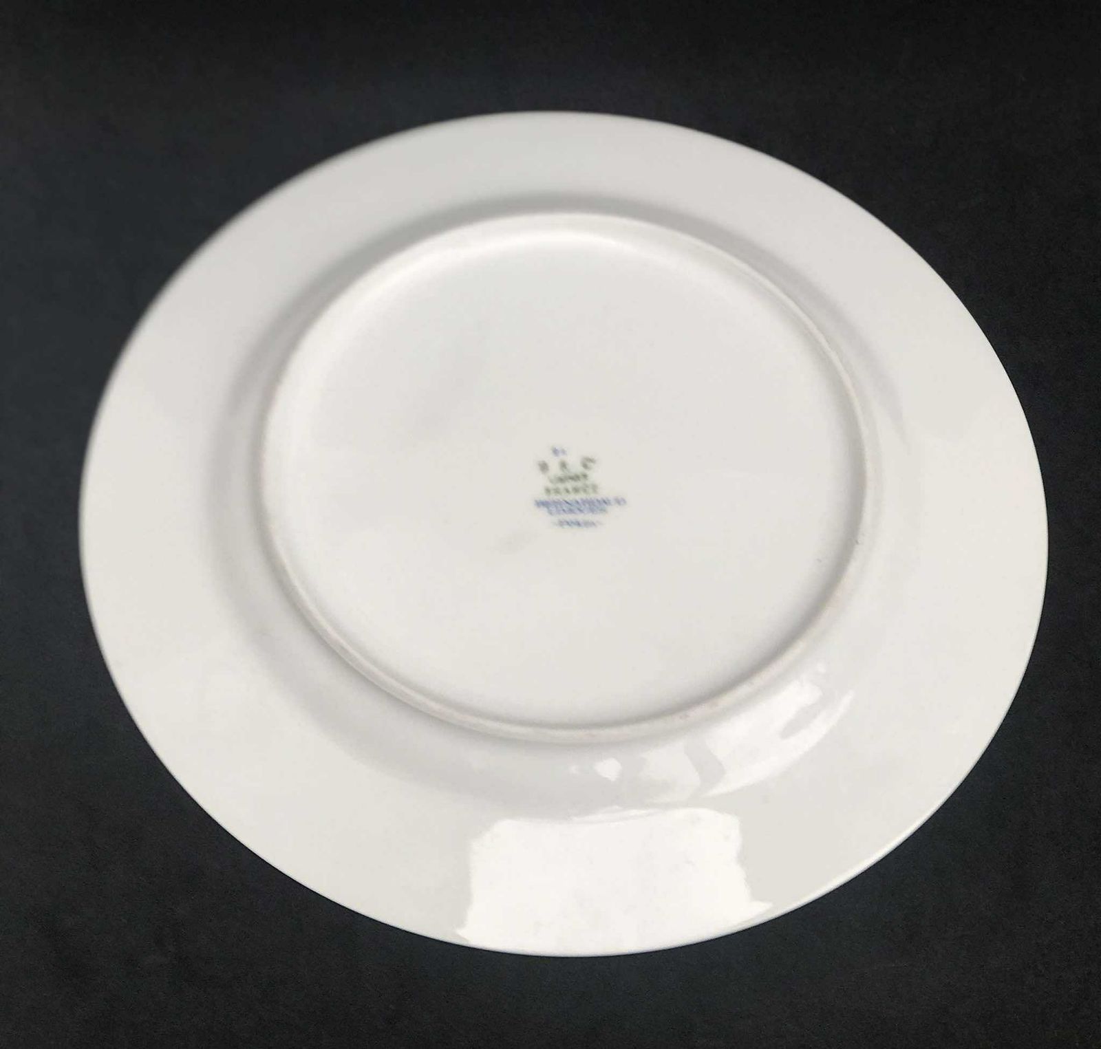 6 Porcelain Bernardaud Limoges Dinner Plates Set Pekin Pattern Discontinued Replacement Golden Rim Romantic Green Plants Flowers Christmas photo vinterior