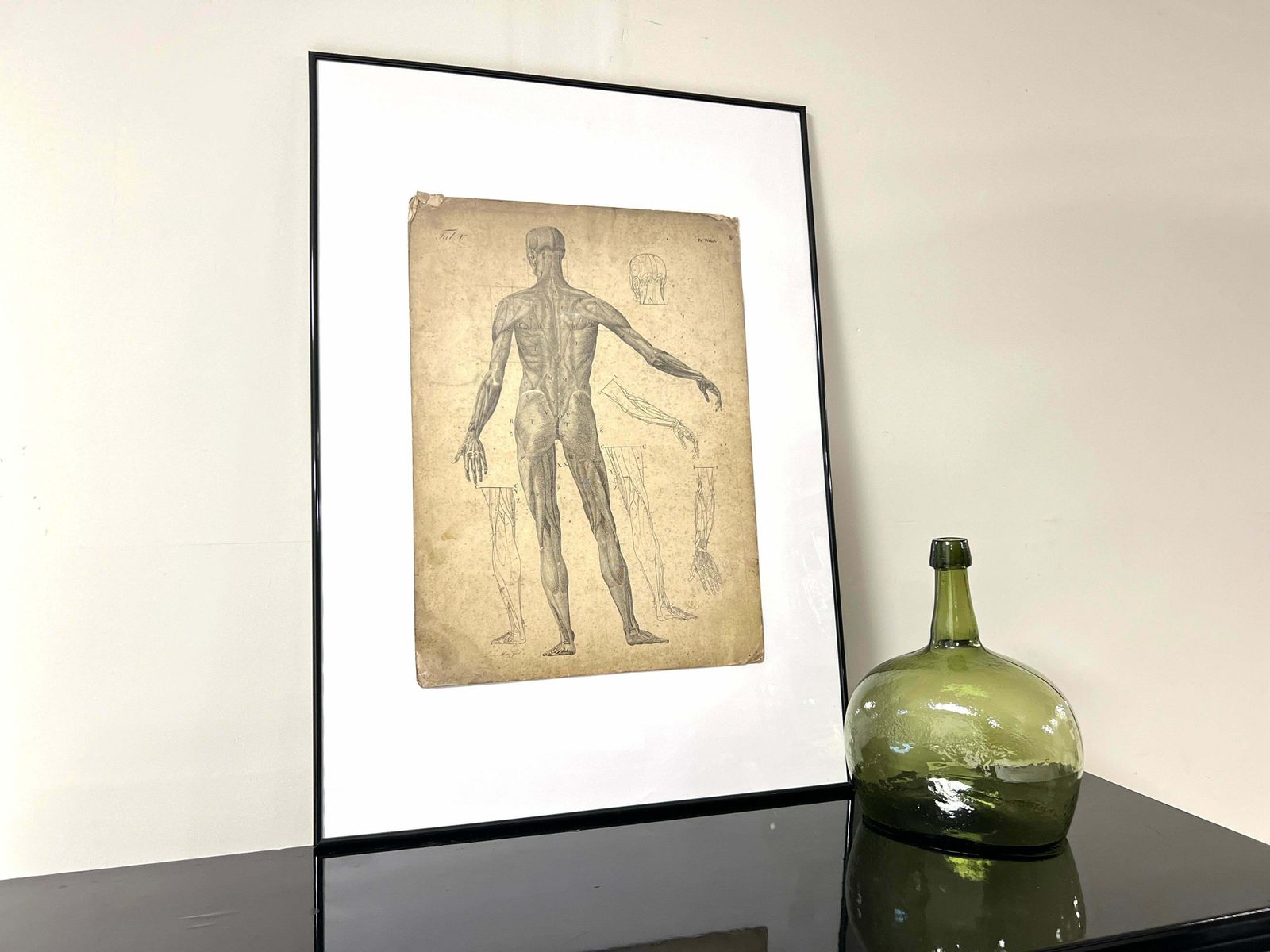 DR Munz Fecit, A 19th Century Anatomical Etching photo furniture