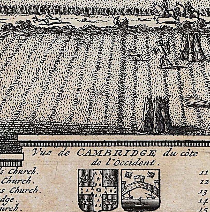 Pieter Van Der Aa, View Of Cambridge, Engraving Pieter Van Der Aa After David Loggan 1727 photo for sale