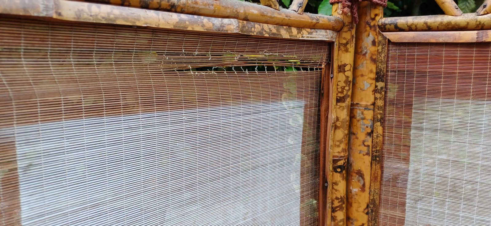 Superb Hand Painted Oriental Style Victorian Bamboo And Rattan Folding Vanity Screen Room Divider. photo 675.0