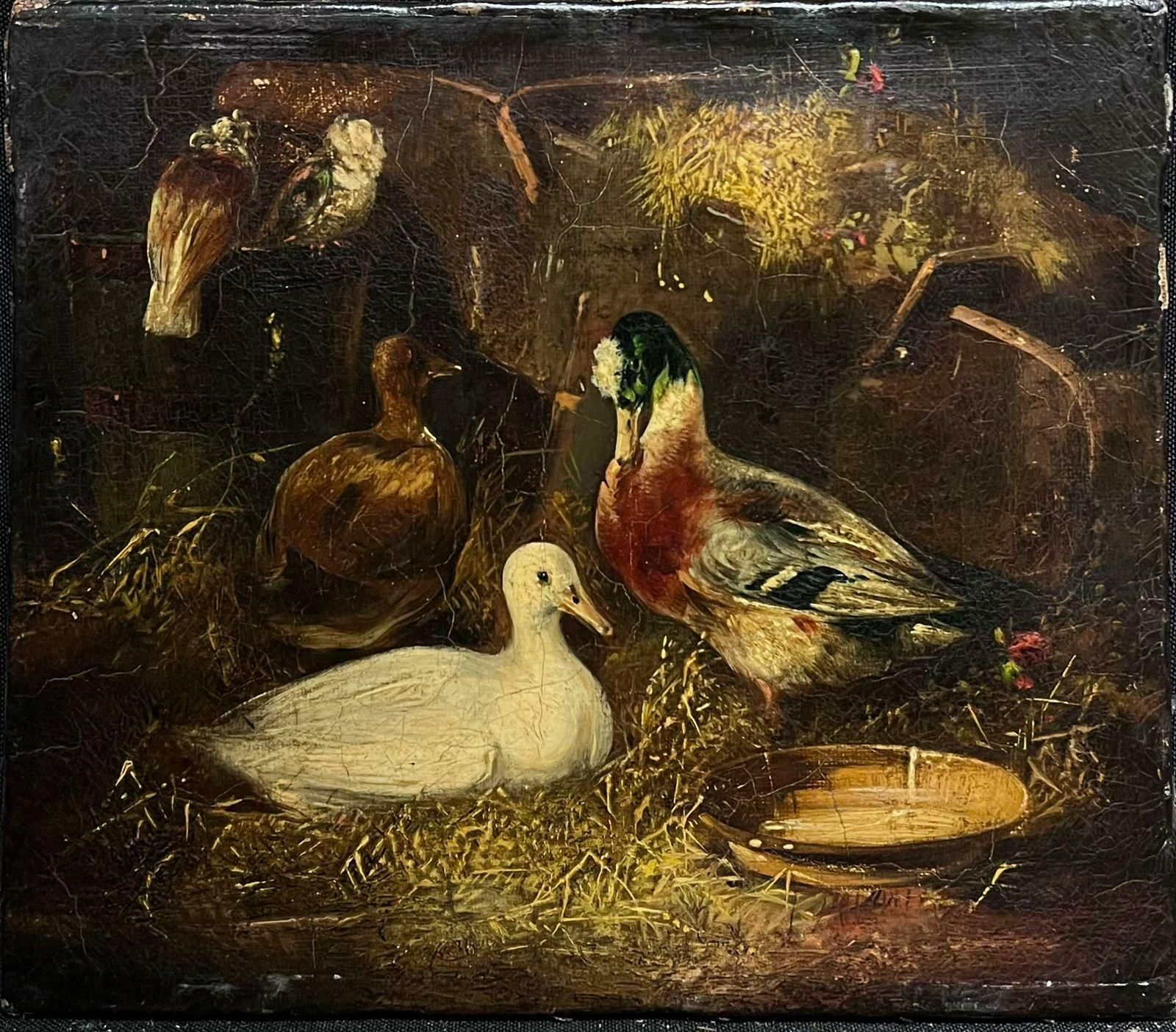 Victorian Oil Painting Ducks & Pigeon In Barn Interior Antique Oil Painting19th Century photo furniture