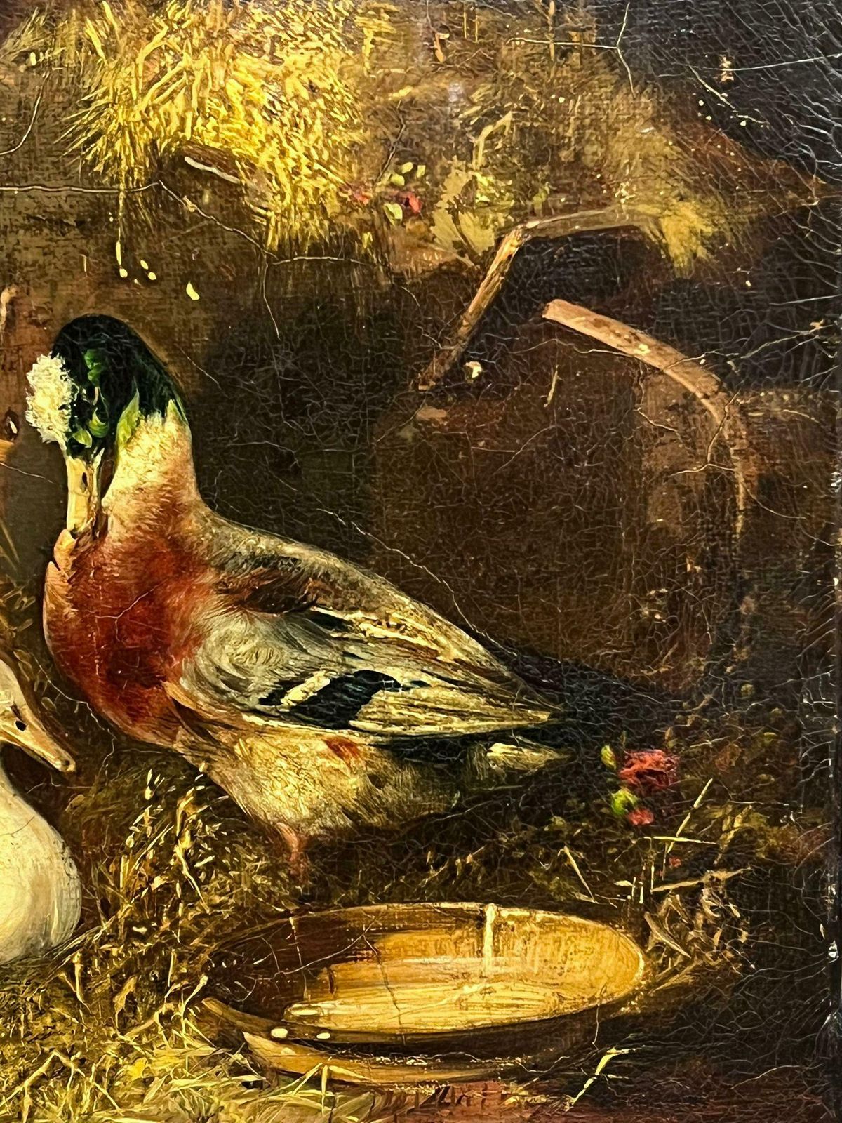 Victorian Oil Painting Ducks & Pigeon In Barn Interior Antique Oil Painting19th Century photo for sale