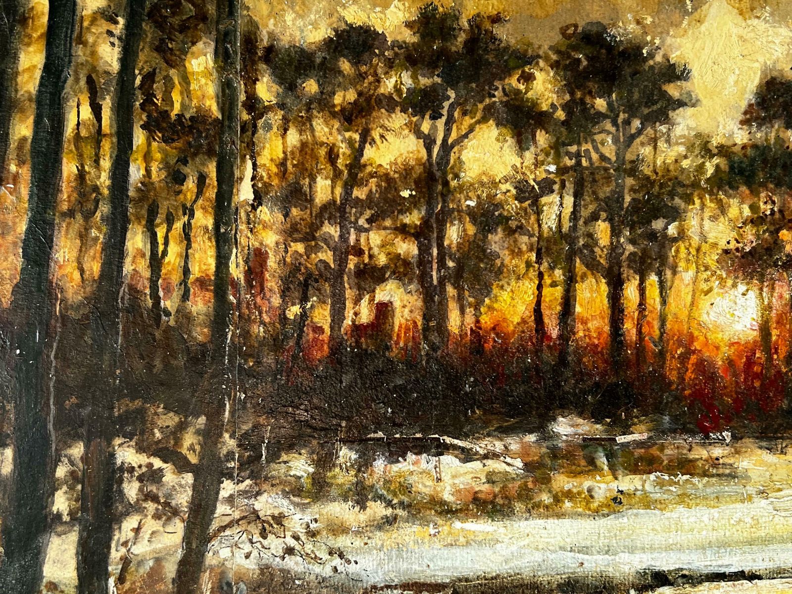 Norman A Olleysnowy Woodland Sun Rise With Observant An Small Fox photo for sale
