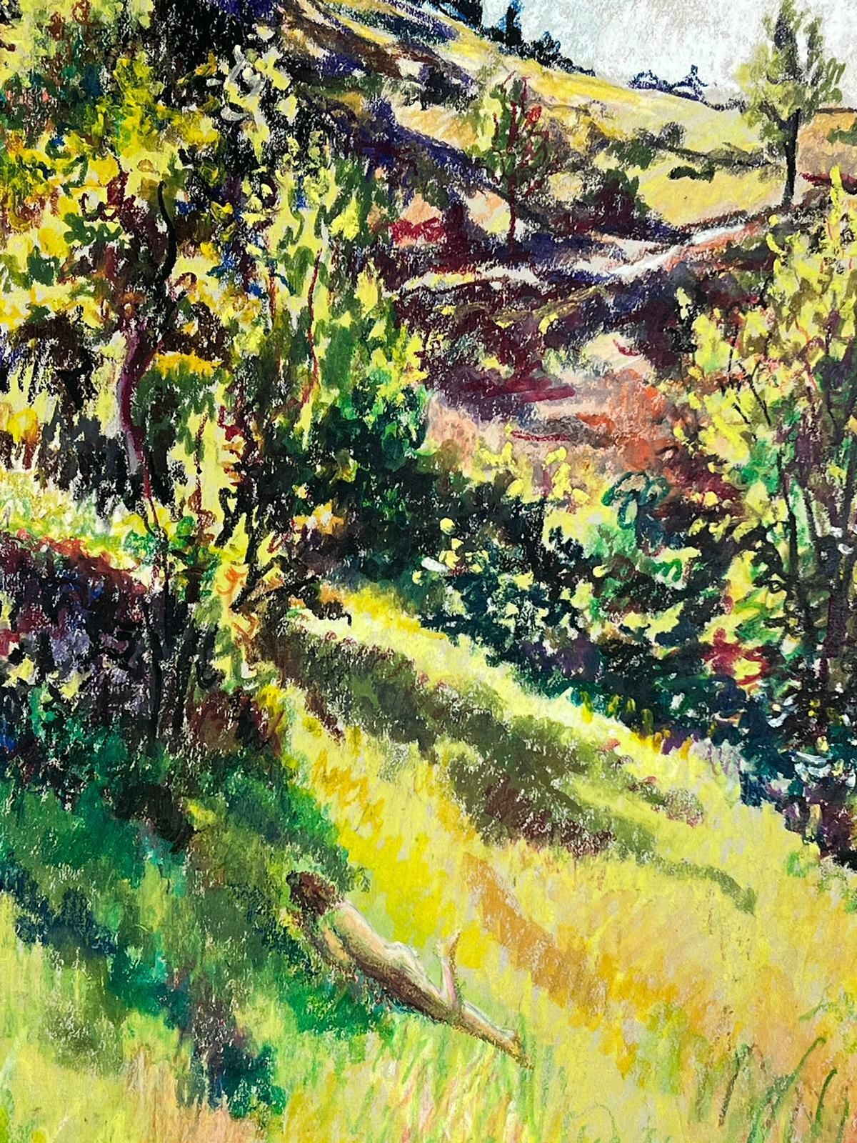 Josine Vignon1950s French Post Impressionist Nude Figure Laying In The Summers Day Fields1950s photo Art