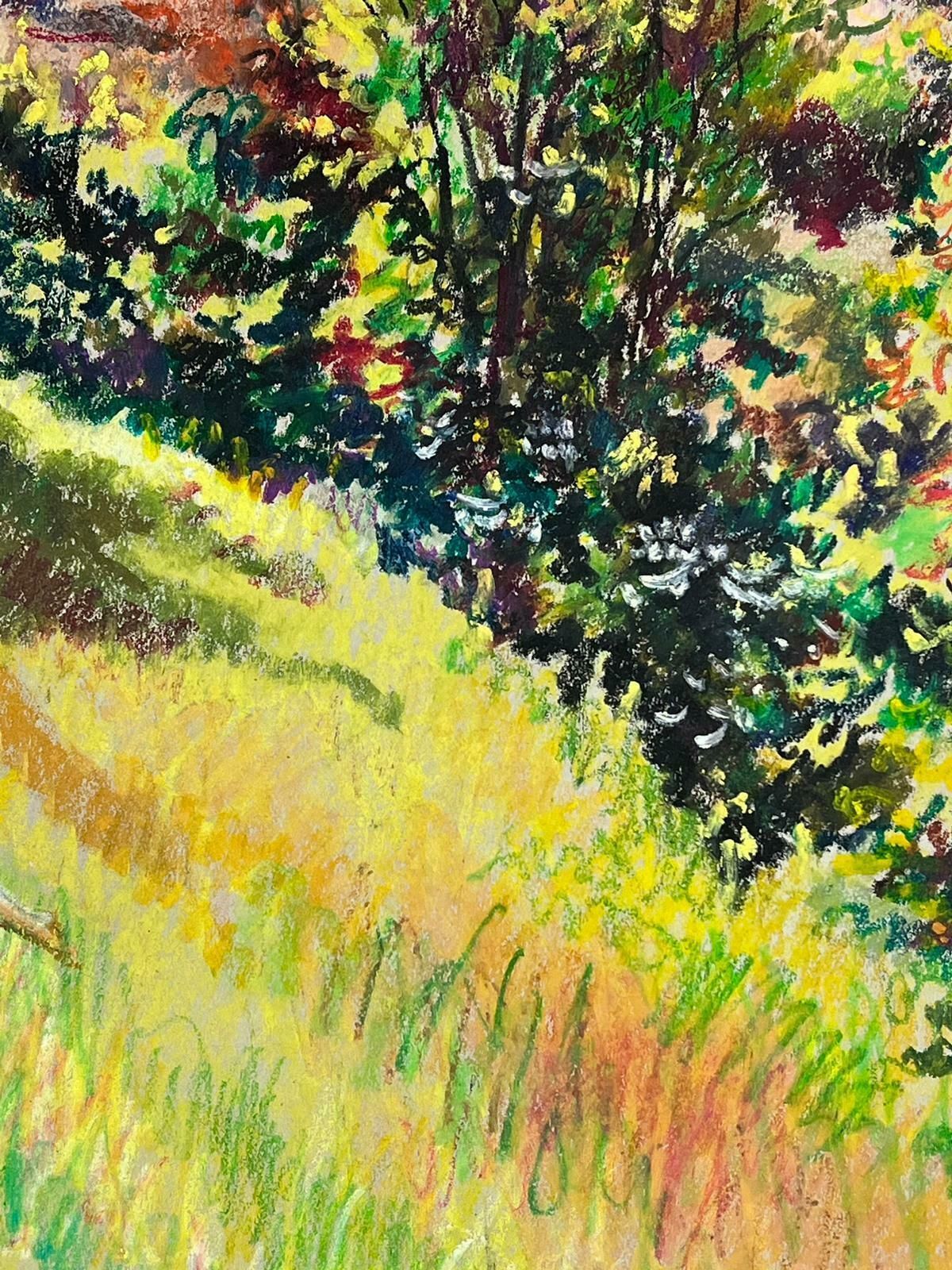 Josine Vignon1950s French Post Impressionist Nude Figure Laying In The Summers Day Fields1950s photo buy