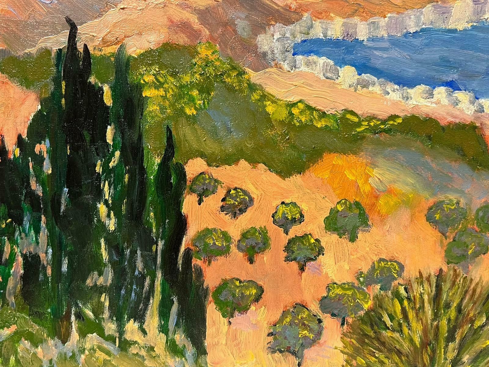 Georges Bordonovecontemporary French Impressionist Oil Olive Groves Mediterranean Sea photo Art