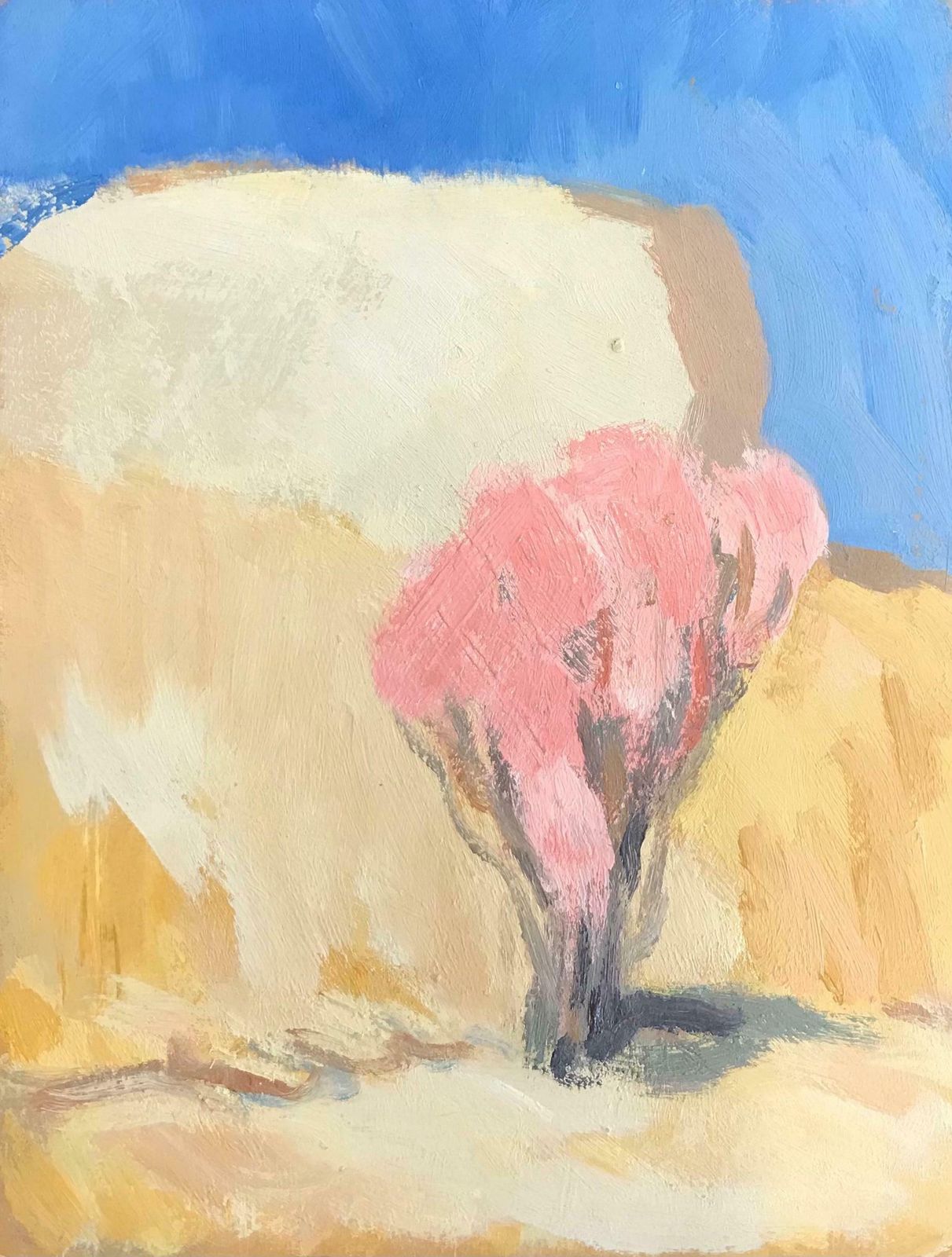 Elisabeth Hahn20th Century German Modernist Oil Painting   Pink Tree In Desert20th Century