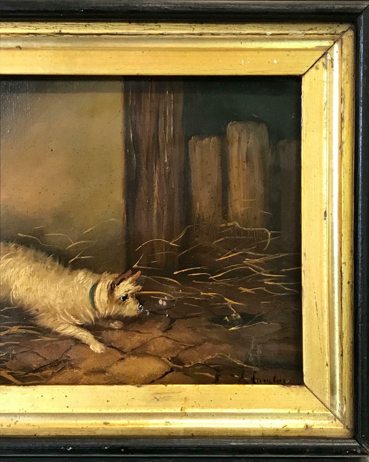 J. Langloisfine British Victorian Dog Oil Painting Terrier In Barn By Mousehole, 19th C19th Century photo for sale