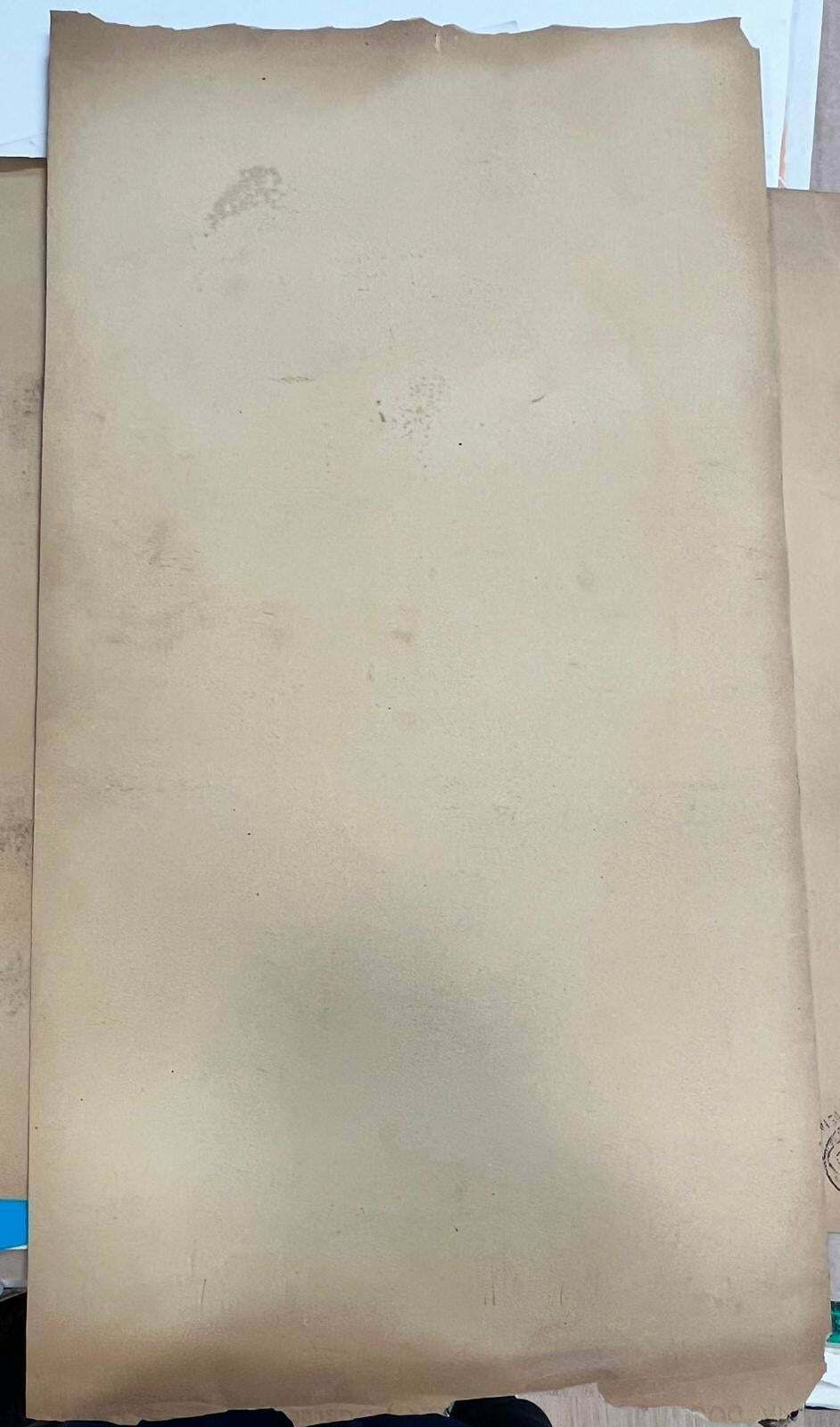 photo for sale Josine Vignonmid Century French Nude Painting Of A Lady Stood Posed 1960's
