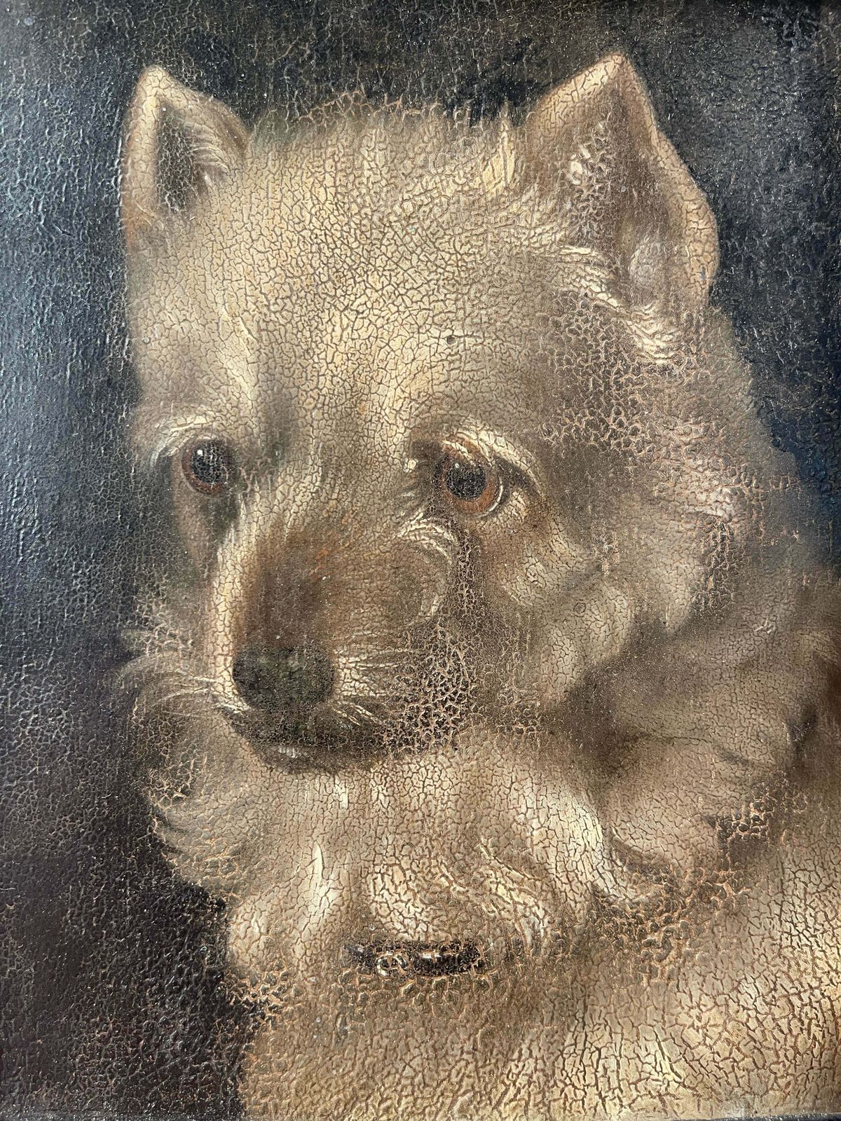 A Stunning & Rare Antique Georgian Oil On Panel Painting By Renowned Animal Painter William Barraud Depicting A Griffon Hunting Terrier/Dog All Origin