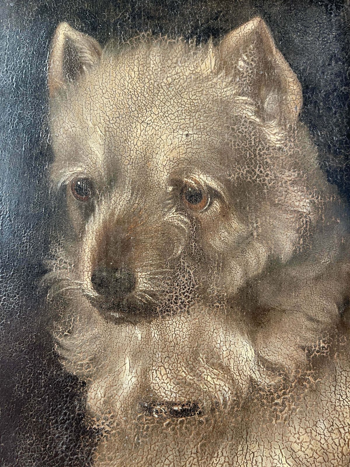 A Stunning & Rare Antique Georgian Oil On Panel Painting By Renowned Animal Painter William Barraud Depicting A Griffon Hunting Terrier/Dog All Origin photo vintage