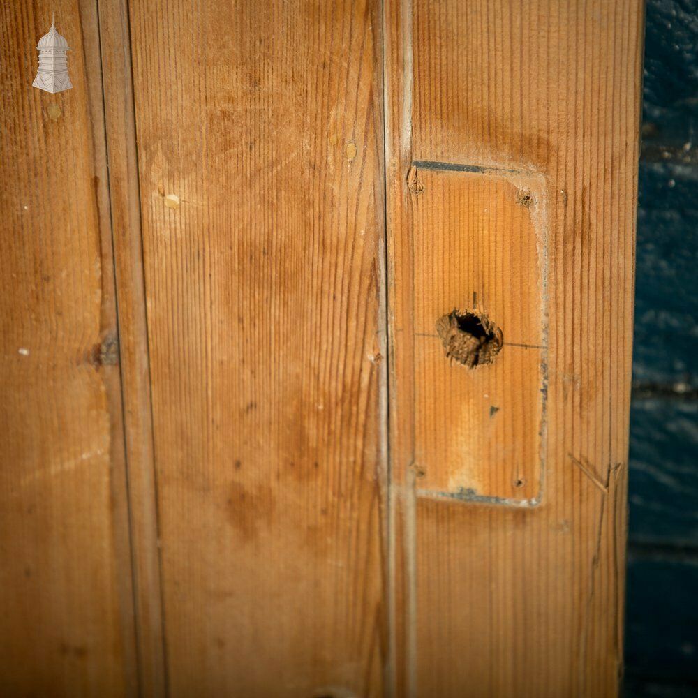 Framed Plank Door, Beaded Pine photo buy