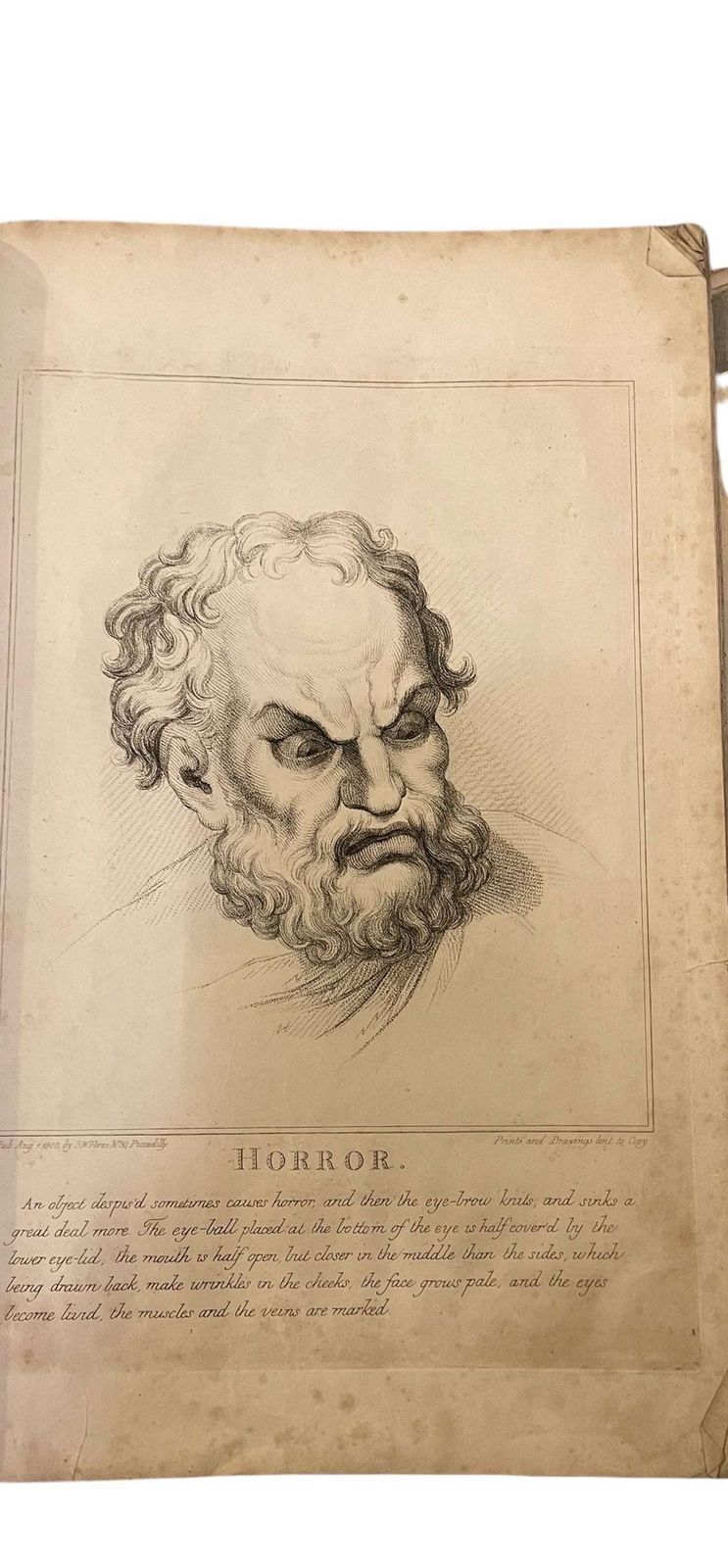 Original  Engraving After Charles Le Brun's Human Physiognomy Horror photo furniture
