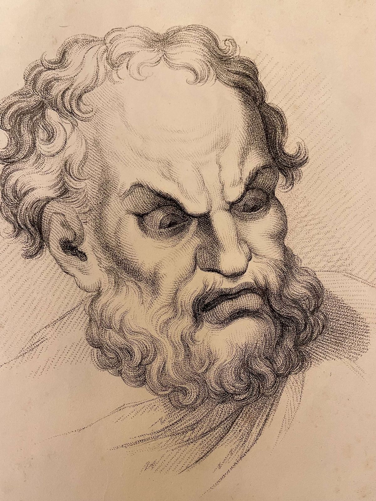 Original  Engraving After Charles Le Brun's Human Physiognomy Horror photo for sale
