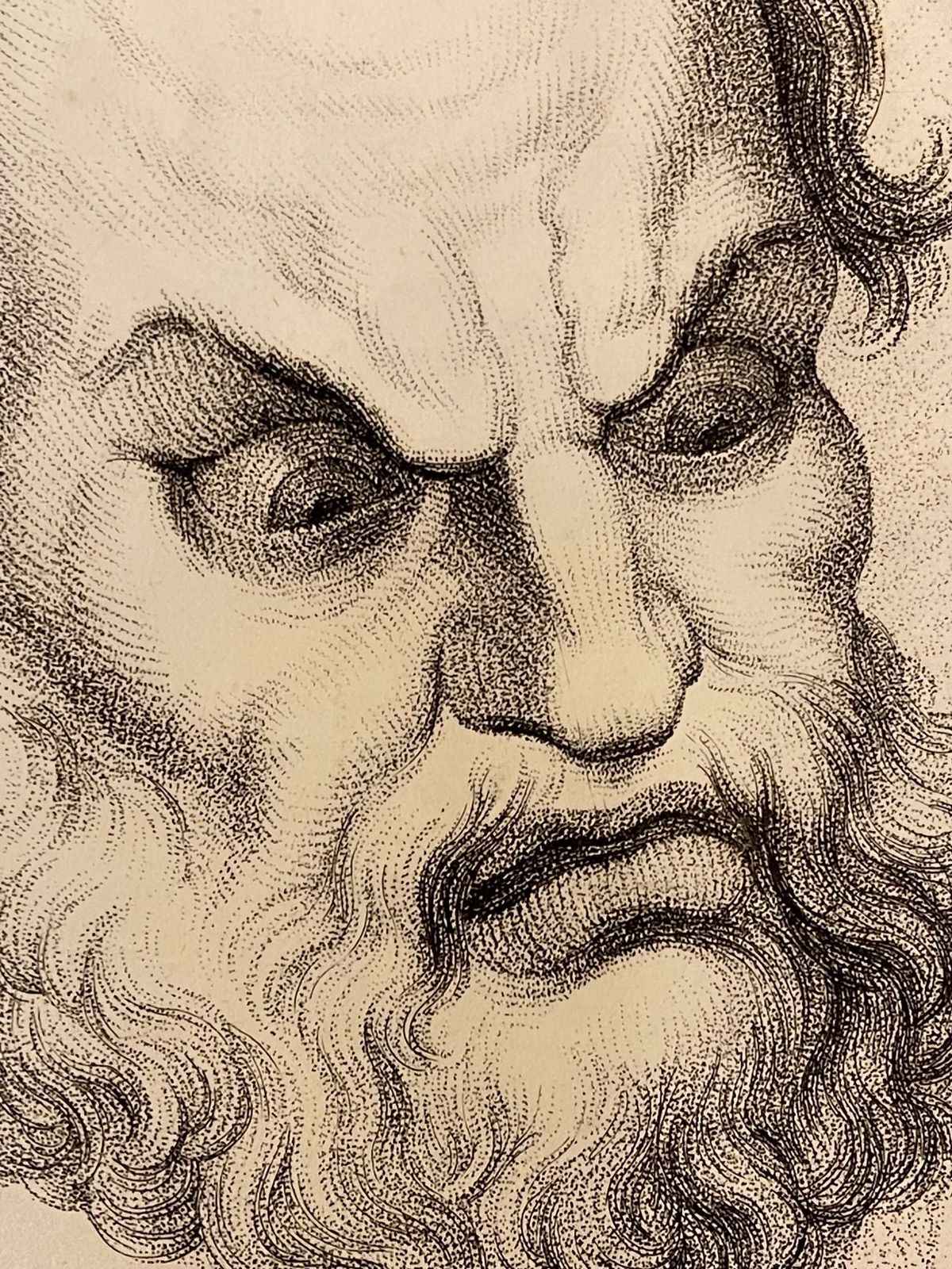 Original  Engraving After Charles Le Brun's Human Physiognomy Horror photo Art