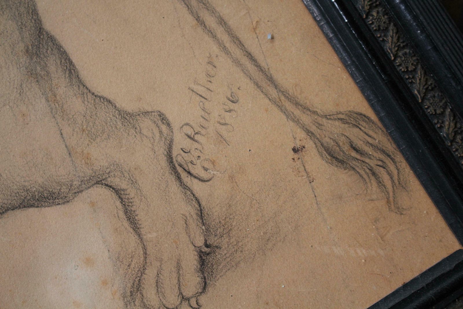 French Late 19th C Large Anthropomorphic Pencil Drawing Of Lion 1886 Taxidermy photo 995.0