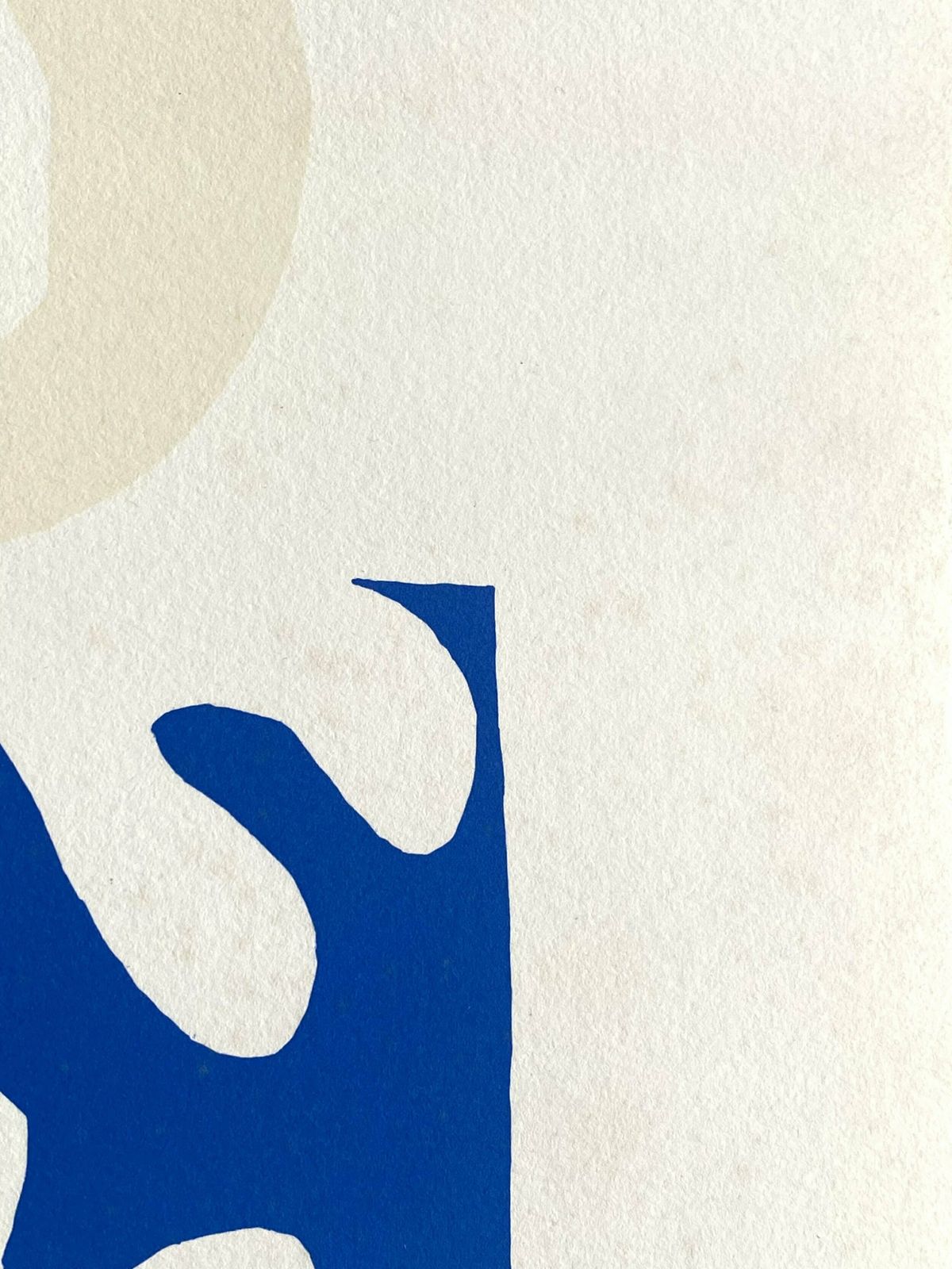 Henri Matisse (After) ‘Le Lagon’, Jazz Planche XVII photo furniture