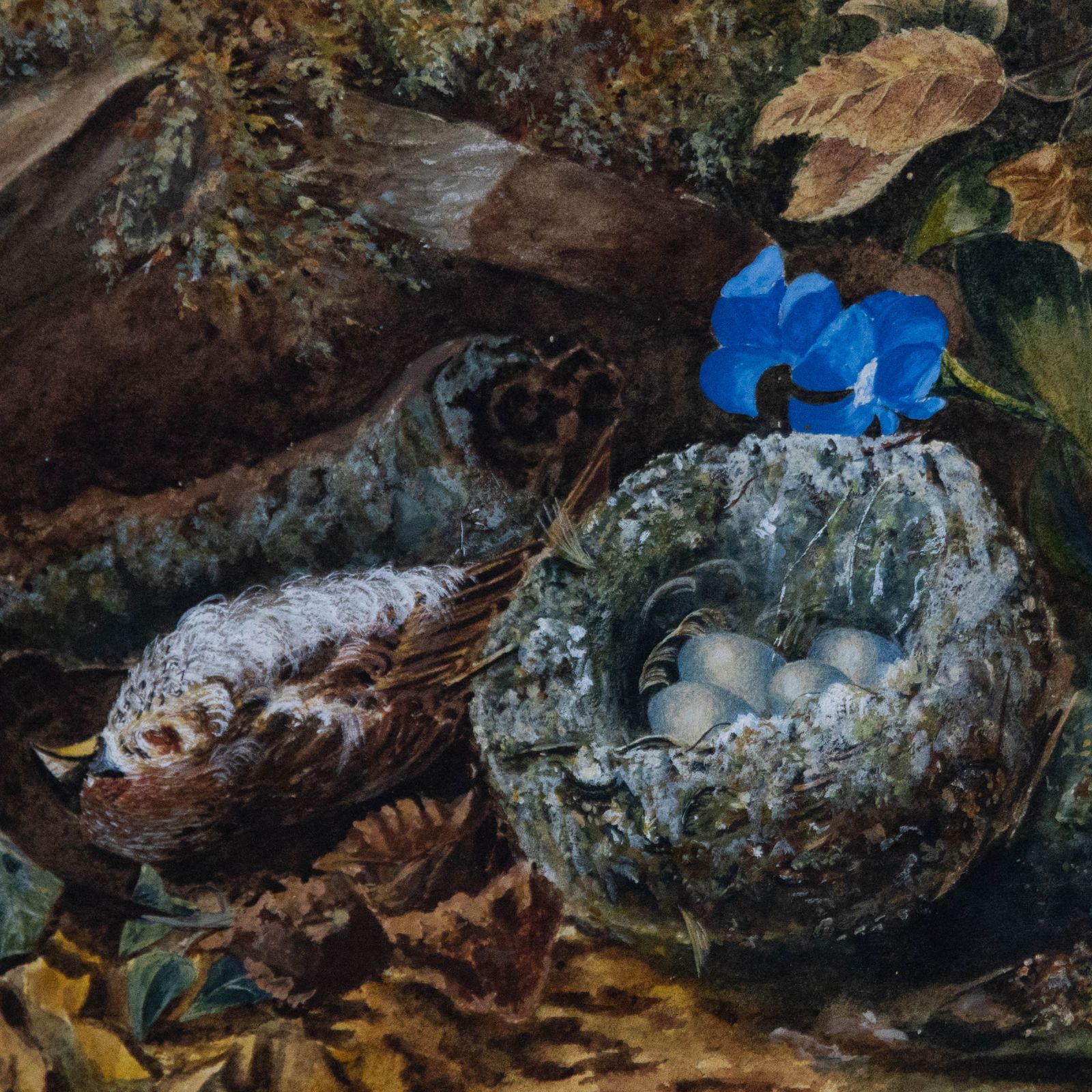 Circle Of Oliver Clare (1853 1927) Framed Watercolour, The Sparrow's Nest photo Art