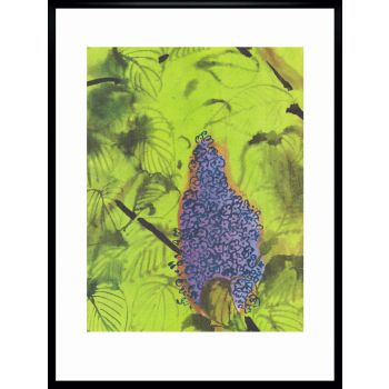 Two Framed Covers Of Polska Magazine By Janusz Grabiański, 1976 photo for sale
