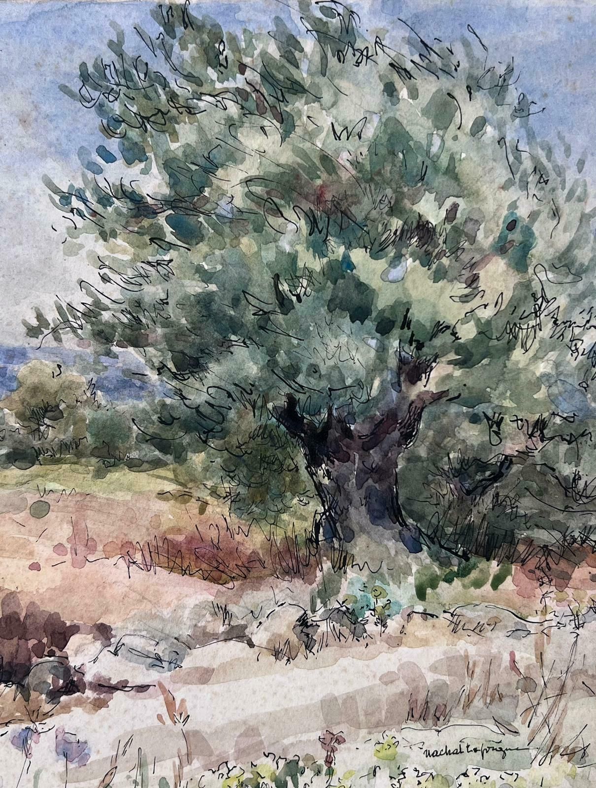 Jean Laforguewild Olive Tree Mid 20th Century French Post Impressionist Signed Painting