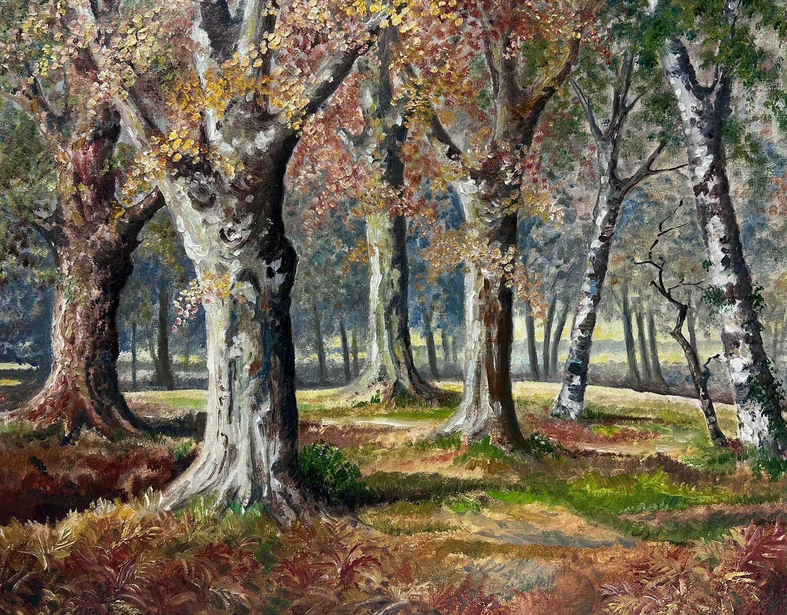 N. Hansfordautumn Forest 1970's English Signed Oil Painting Woodland Glade Of Trees1978