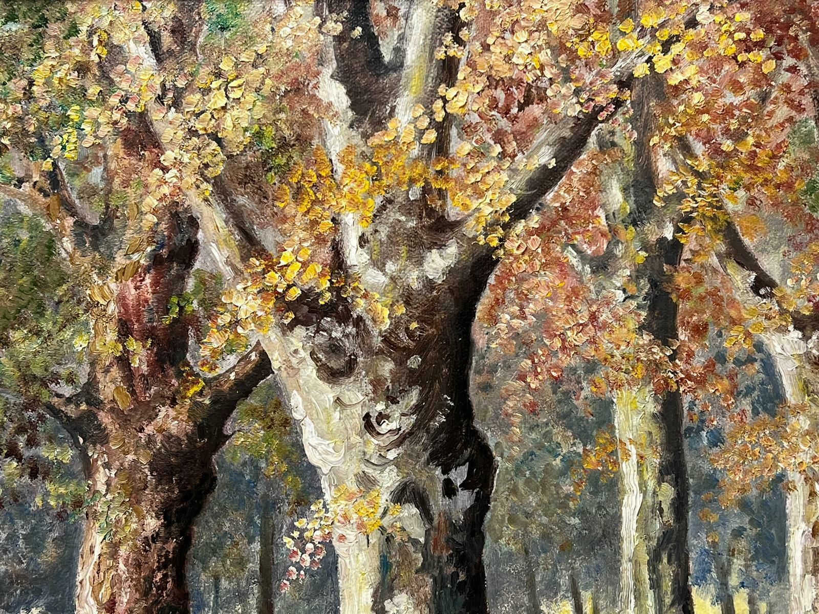 N. Hansfordautumn Forest 1970's English Signed Oil Painting Woodland Glade Of Trees1978 photo Art