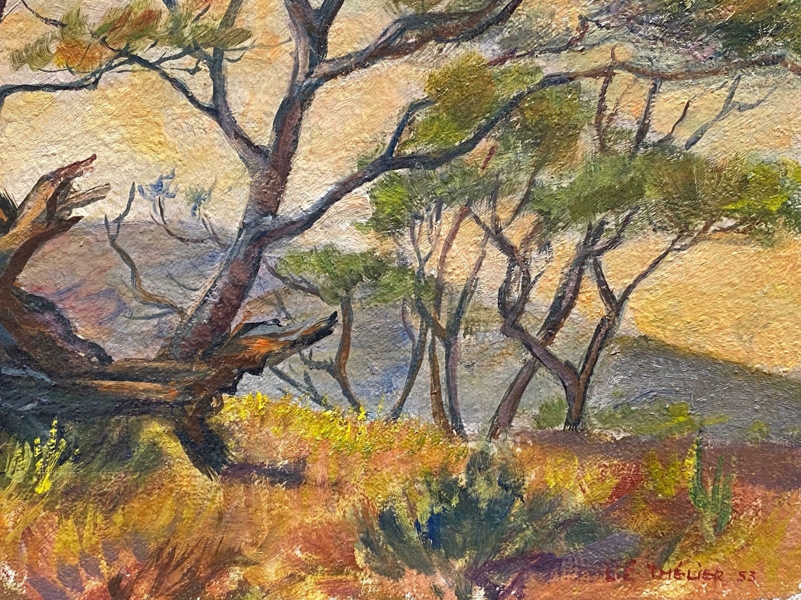 French 1950's1950's French Impressionist Signed Oil   Trees In Provencal Landscape1950's photo Art