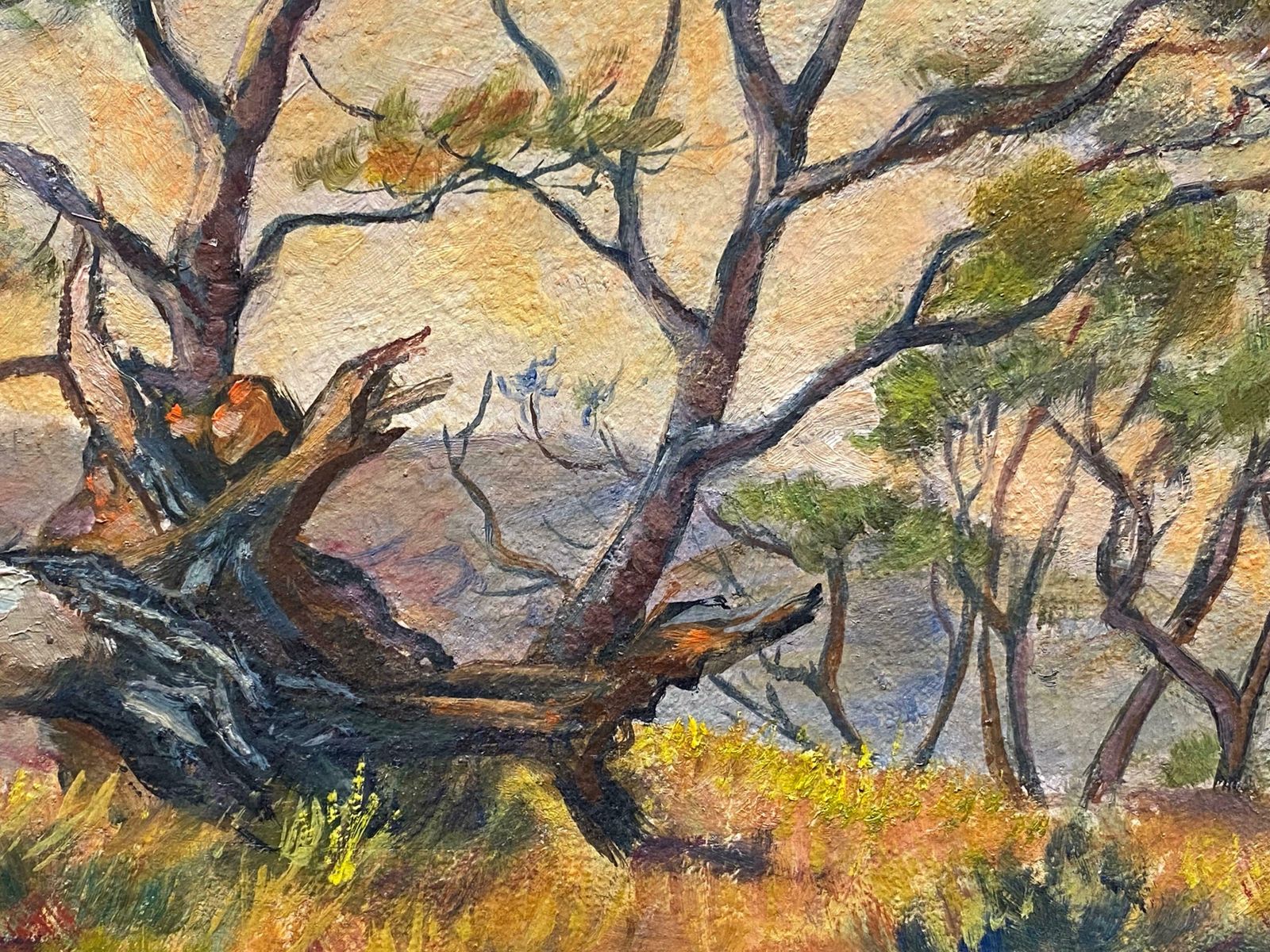 French 1950's1950's French Impressionist Signed Oil   Trees In Provencal Landscape1950's photo 393.0
