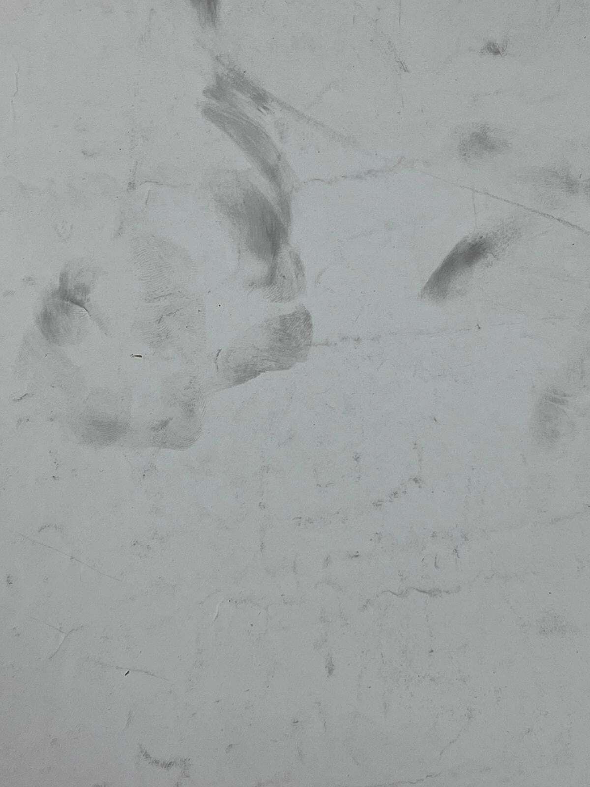 French Schoolmid 20th Century Nude Figure Posed Away Pencil Drawing photo Art