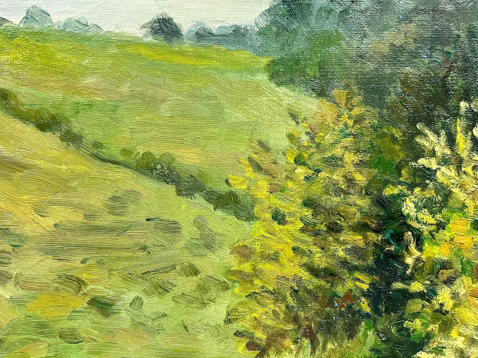 Josine Vignonhorses Grazing In Tranquil Pastures Large French Post Impressionist Oil Painting1960's photo for sale