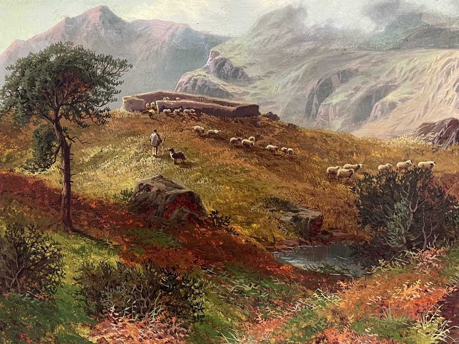 Scottish Victorianlarge Victorian Scottish Oil Painting Glencoe Mountains With Shepherd & Sheep photo 2451.0